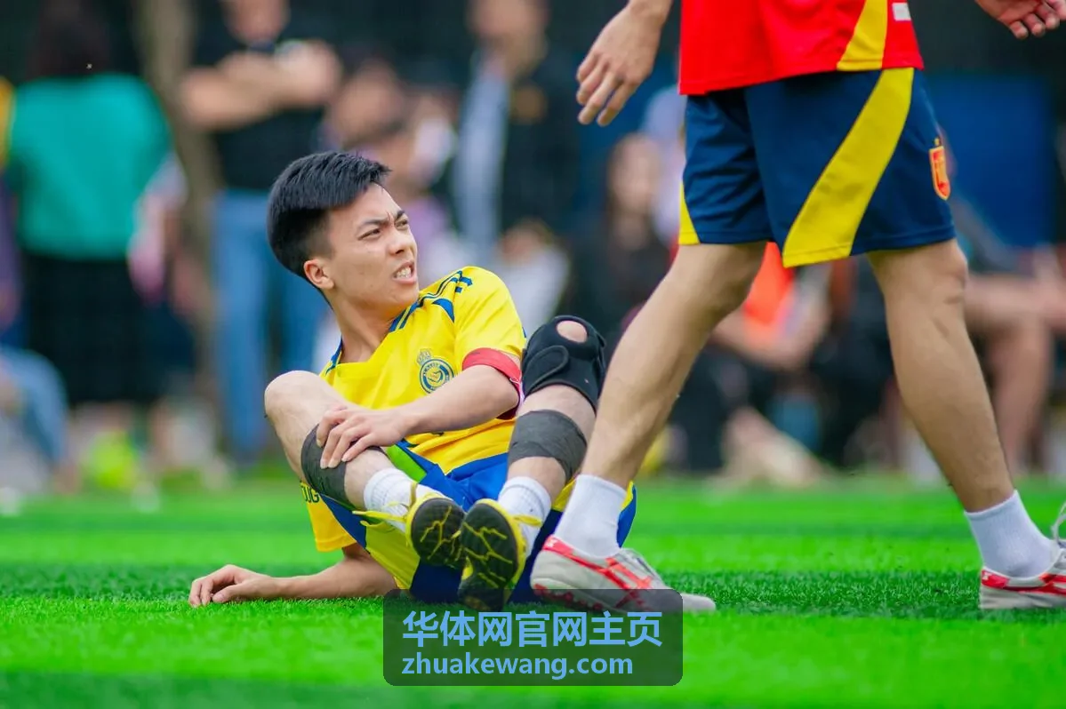 华体网官网主页场馆与服务栏目展示的场内与观众席视角