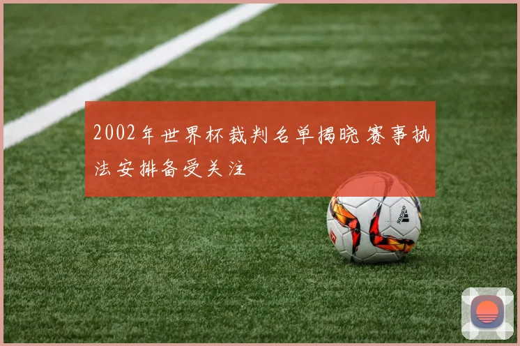 2002年世界杯裁判名单揭晓 赛事执法安排备受关注