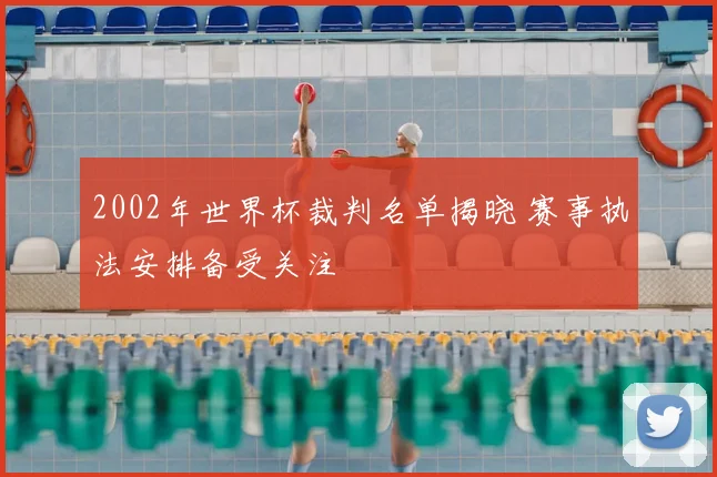 2002年世界杯裁判名单揭晓 赛事执法安排备受关注