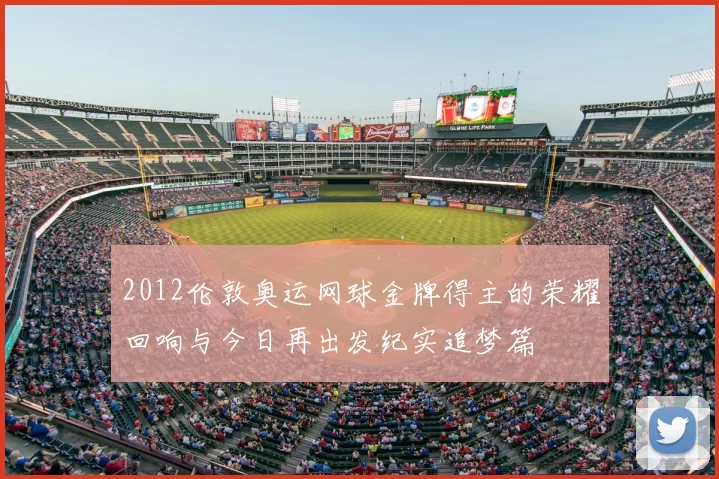 2012伦敦奥运网球金牌得主的荣耀回响与今日再出发纪实追梦篇