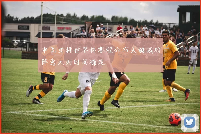 中国女排世界杯赛程公布关键战对阵意大利时间确定