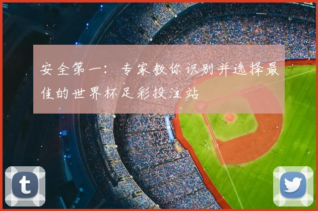 安全第一：专家教你识别并选择最佳的世界杯足彩投注站