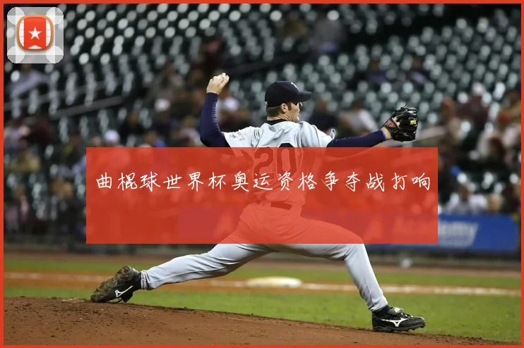 曲棍球世界杯奥运资格争夺战打响